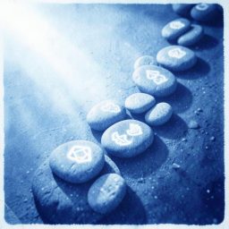 Cover art of AMO