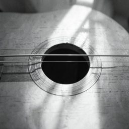 ปกเพลง แฟนฉัน (Fingerstyle Guitar)
